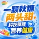 南京金秋，第115届秋季全国糖酒会，食饮新标杆，*风潮